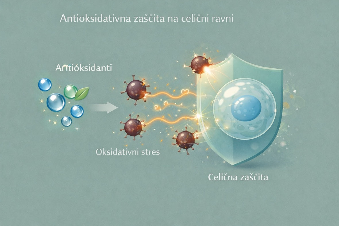 Antioksidativna zaščita kože pred onesnaženjem z Eurona aktivno meglico, Asian Beauty Land.